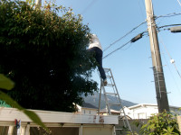 100_9551