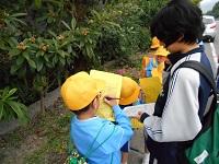 防災フィールドワーク 防災フィールドワーク